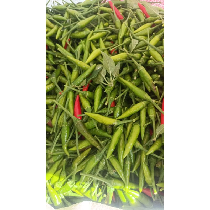 

Cabe Caplak