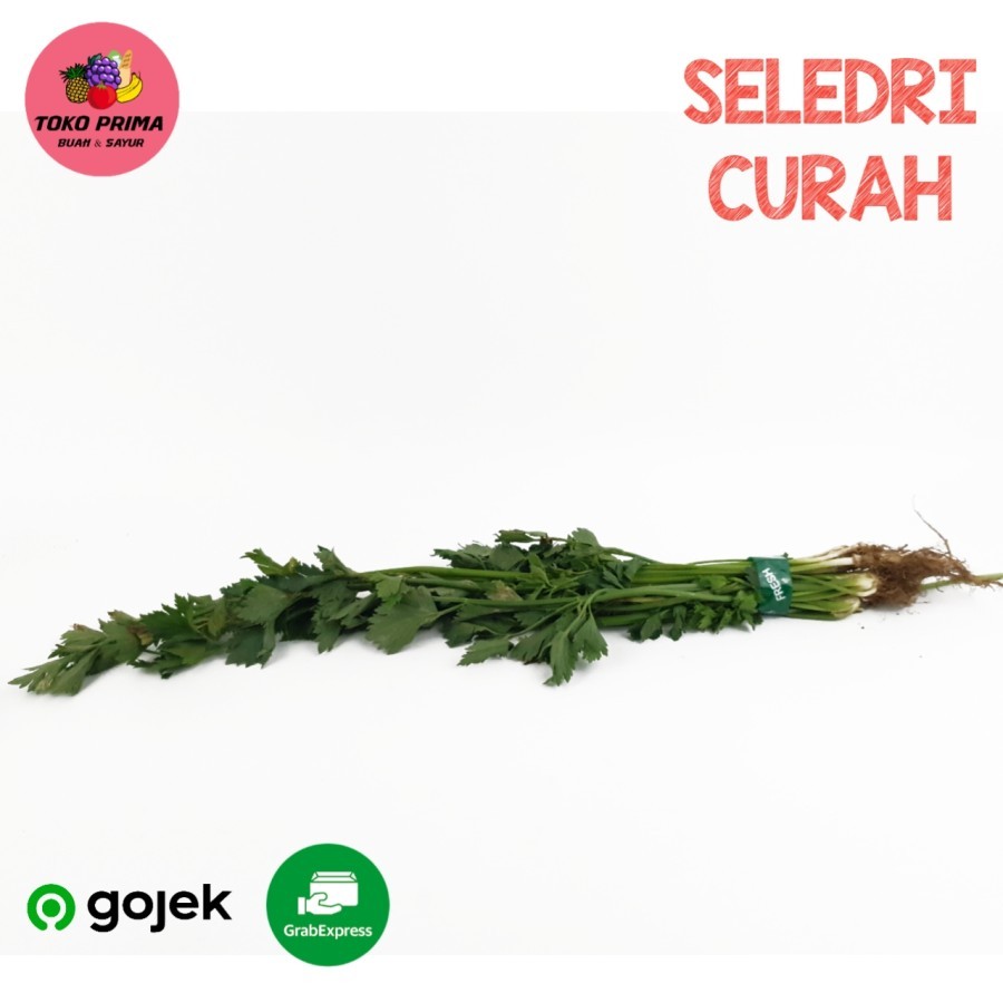 

Seledri Curah Per 250 Gram
