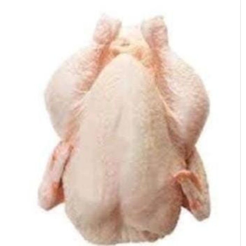 

Ayam Potong Segar