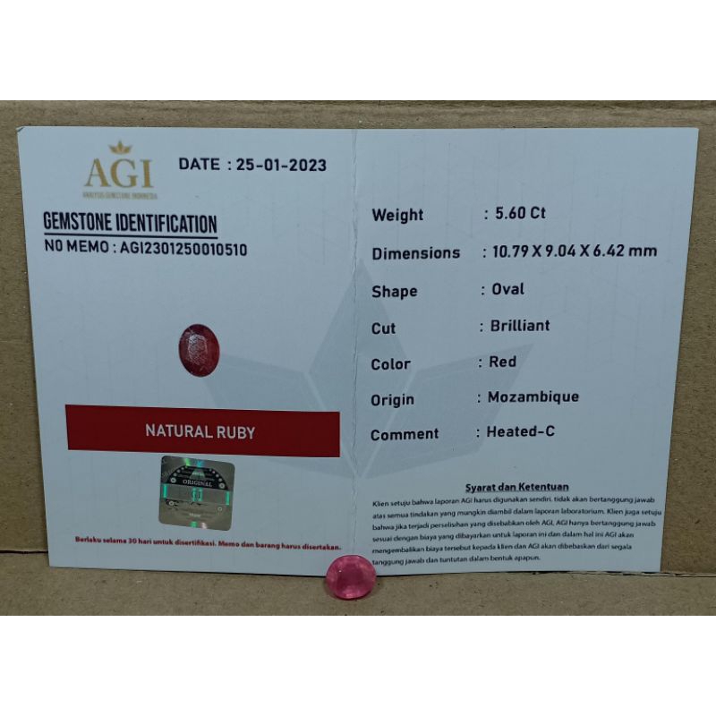 LOSTONE RUBY 'PIGEON' BERSERTIFIKAT ASLI NATURAL