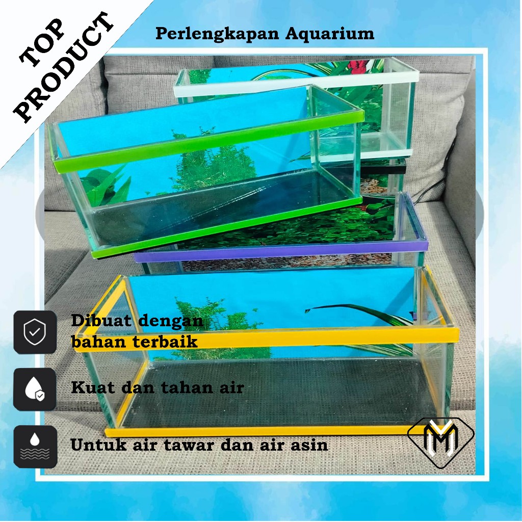 aquarium minimalis full set kaca untuk ikan cana
