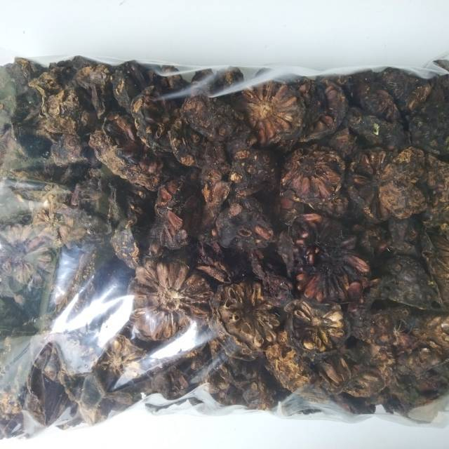 

Buah Mengkudu Kering (Pace) Obat Herbal