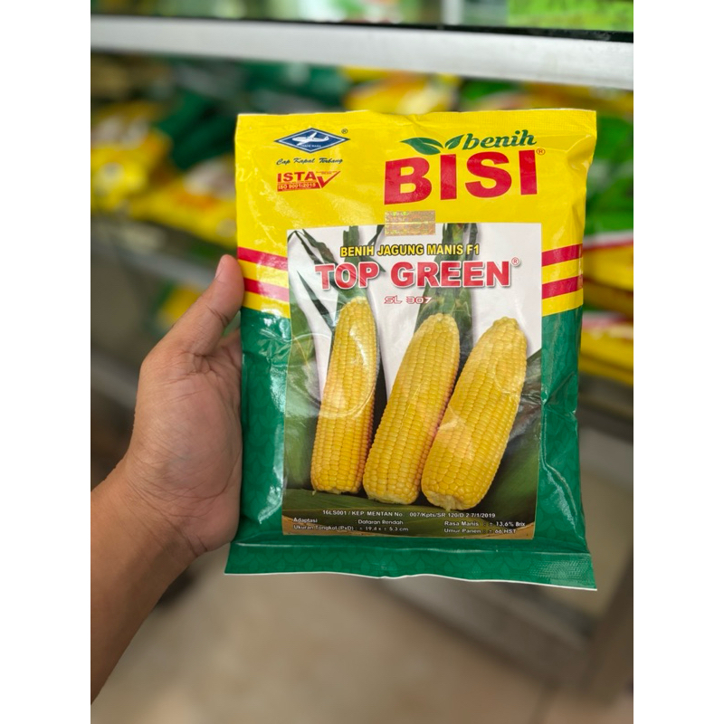 bibit / benih jagung top green