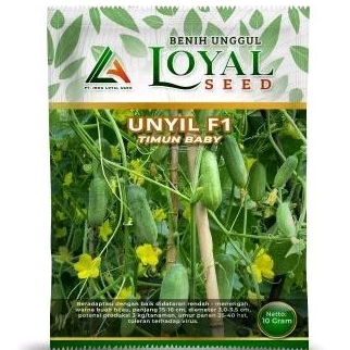 BENIH TIMUN BABY UNYIL F1 (BUAH HIJAU)
