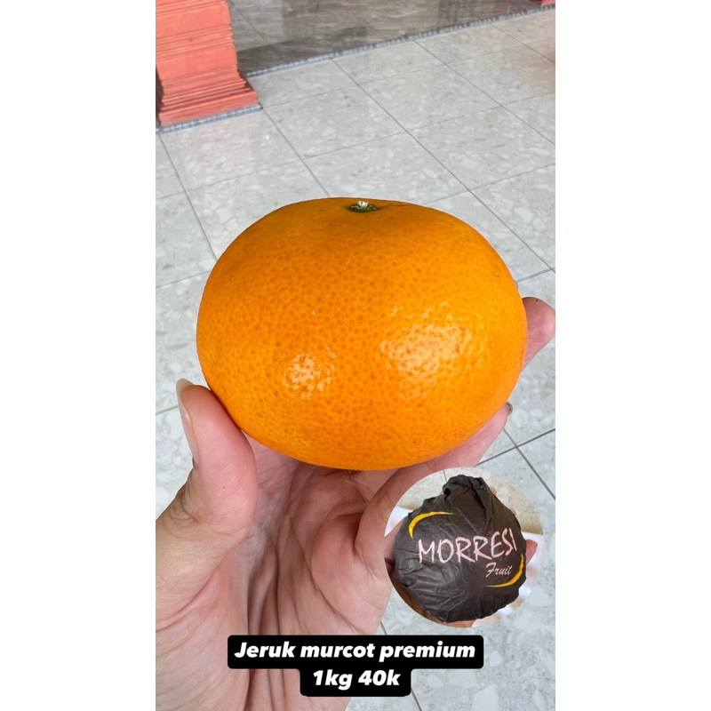 

jeruk murcot premium