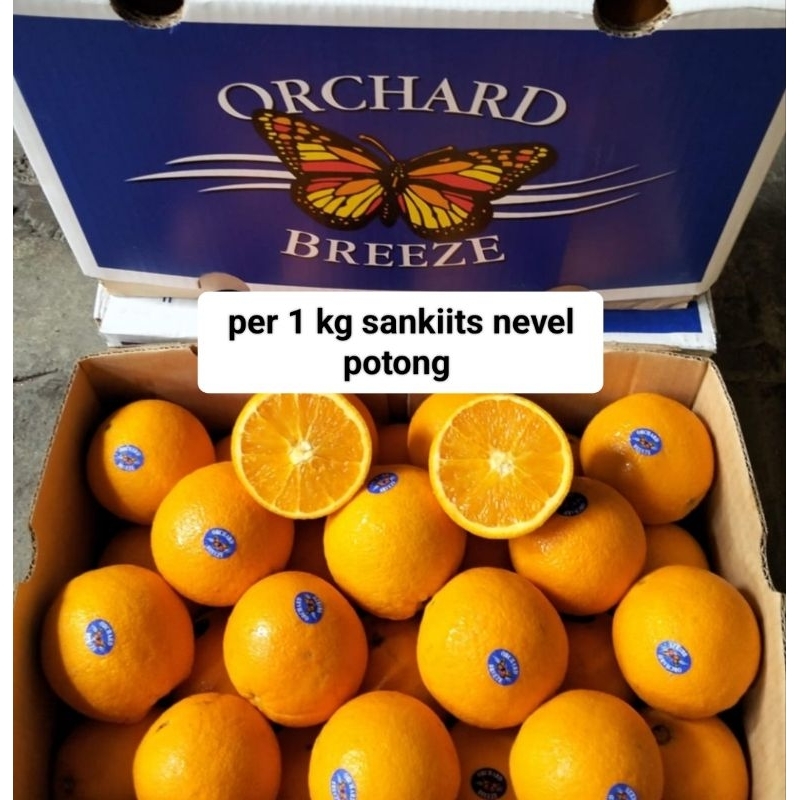 

buah jeruk Sunkist potong nevel 1kg buah