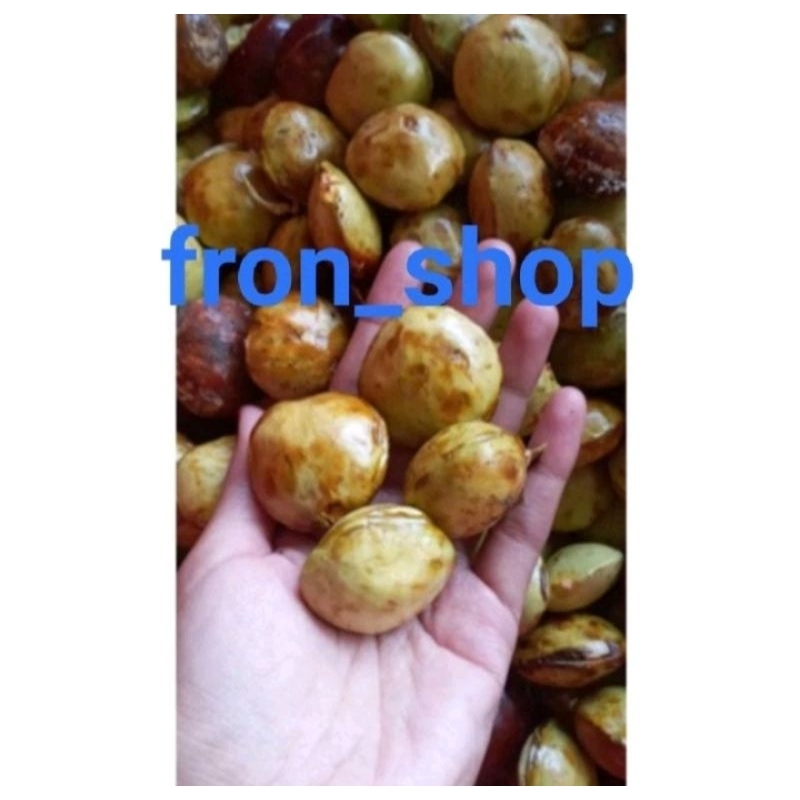 

jengkol tua mentah biji tua poll (1kg) asli
