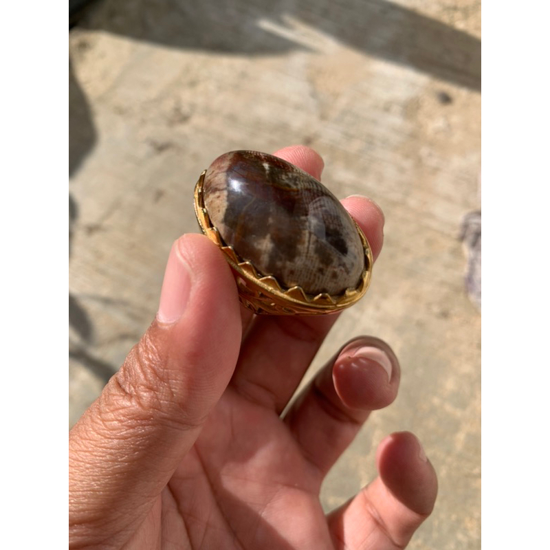 Pancawarna Sisik Ular