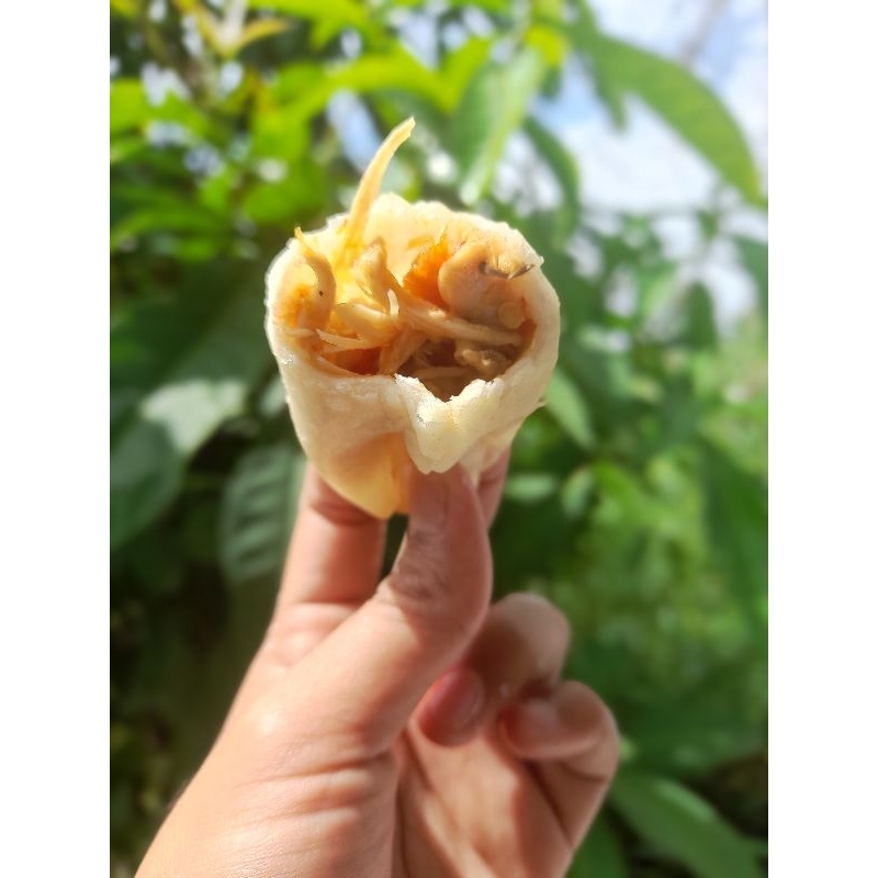 

cireng isi