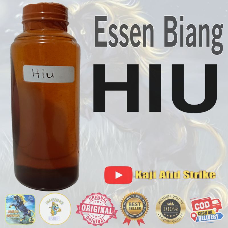 Essen Biang Amisan Hiu