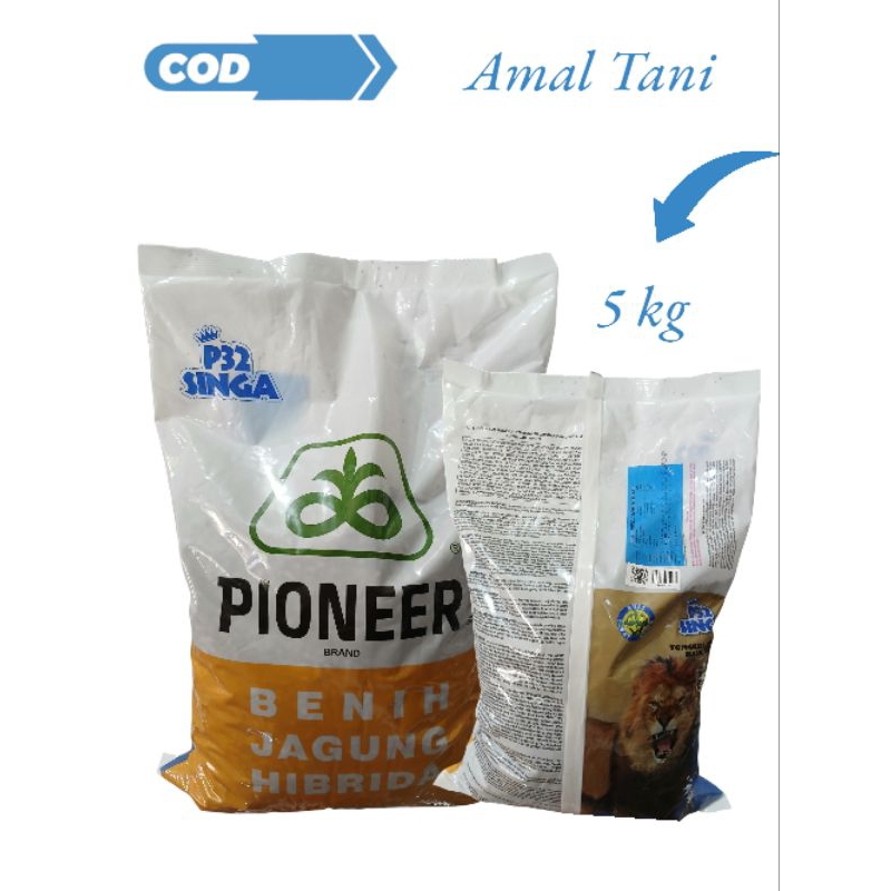 Benih Bibit Jagung PIONEER P32 SINGA (5kg) | Benih jagung Hebrida