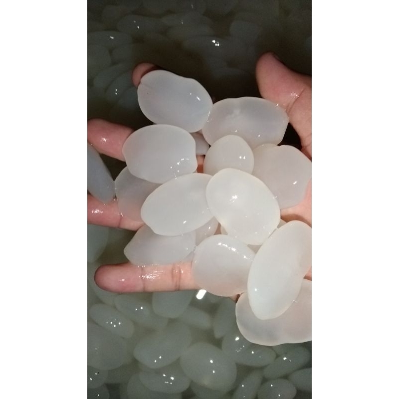 

kolang Kaling muda fresh 100% asli tanpa bahan pengawet
