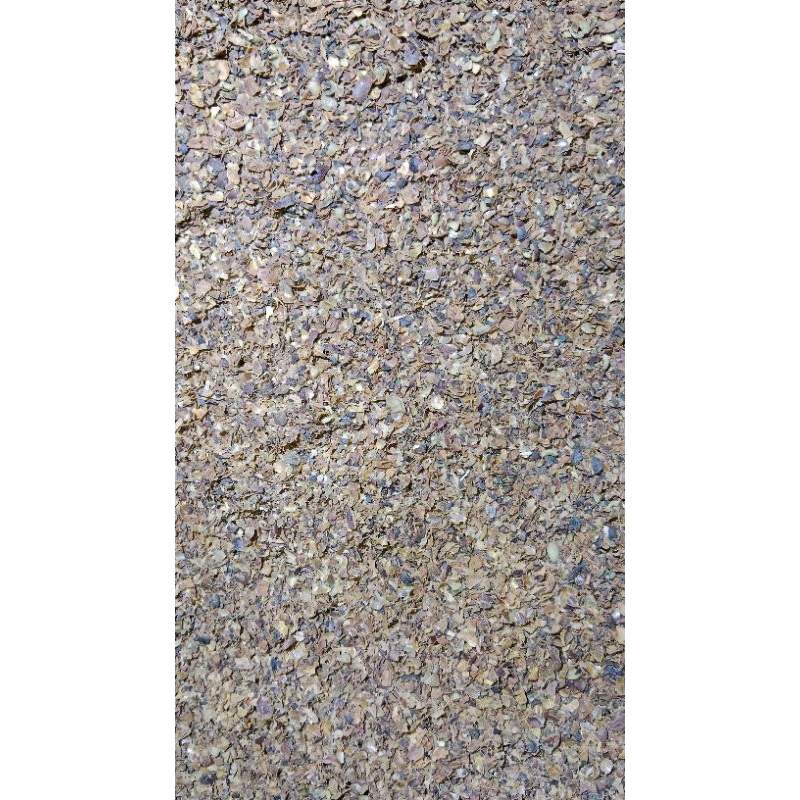 

kulit kopi