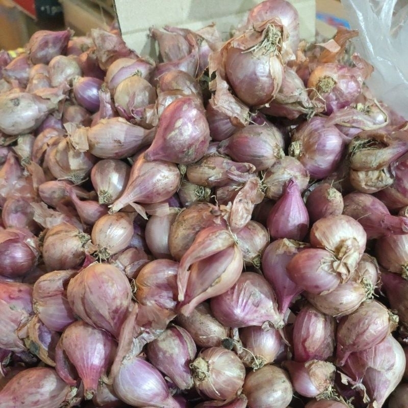 

bawang merah asli Nganjuk gurih