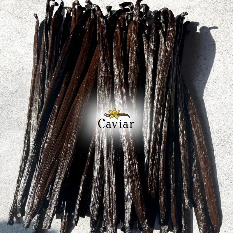 

Vanilla Bean Gourmet Tahitensis Grade A Premium Penyedap Kue dan Es Krim — 1 Kg
