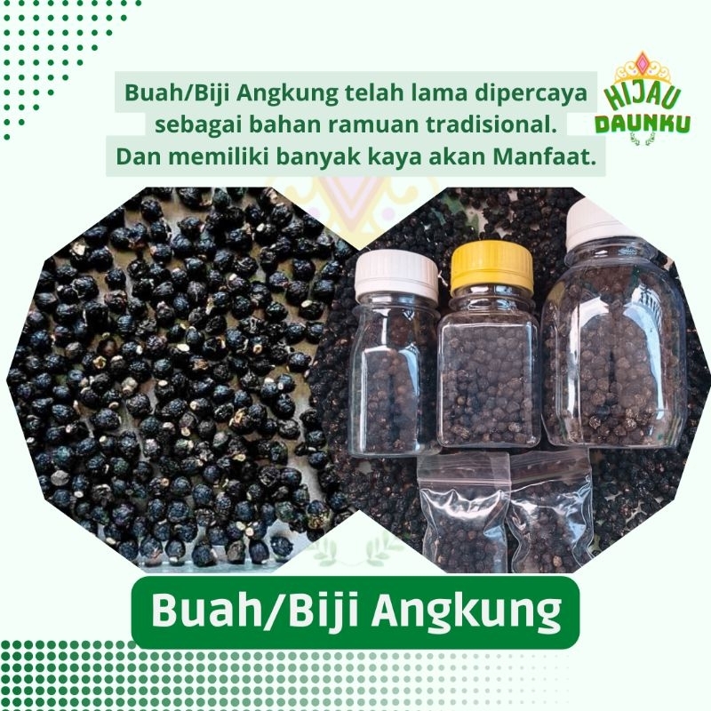 

Buah Angkung Kering Obat Stroke & Saraf 100% Alami Isi 1000 Biji