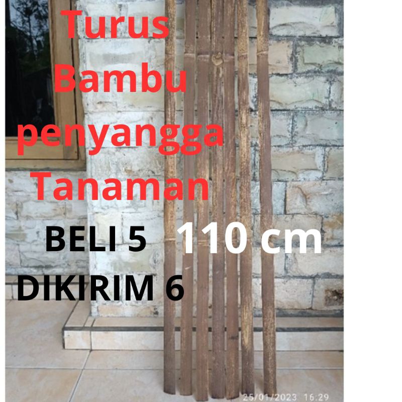 Bilah bambu turus penyangga tanaman tiang tongkat ajir  rambatan 110 cm bunga janda bolong
