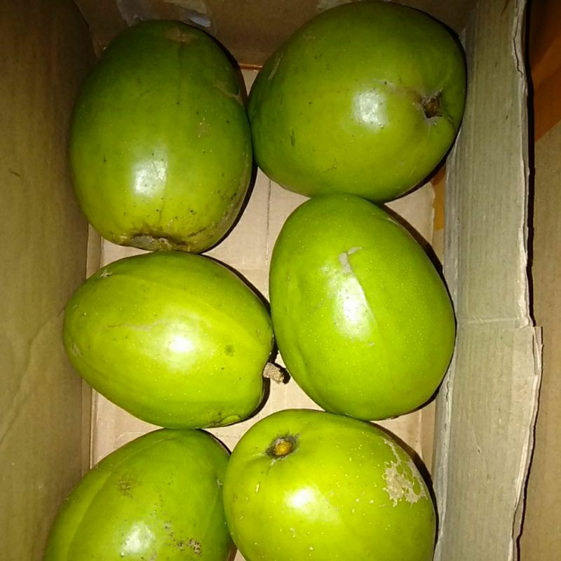 

Buah Dondong Dodong Kedodong