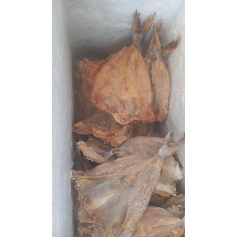 

ikan asin jambal roti 500gram