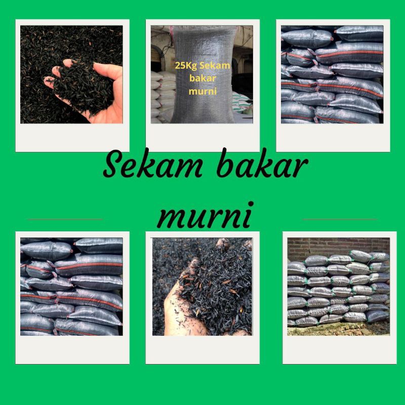 JAMIN ASLI.. Sekam Bakar Murni, Sekam Bakar Murni Halus