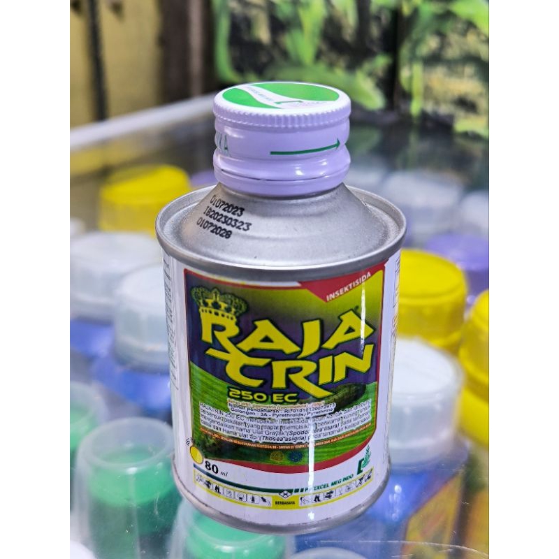 Rajatrin 80Ml