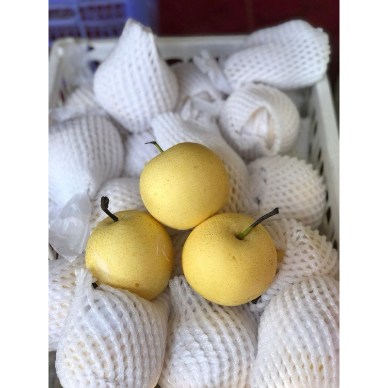 

BACA DESKRIPSI - PIR CENTURY - marketkitabali