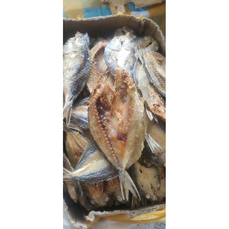 

ikan kering biji nangka / sinrili