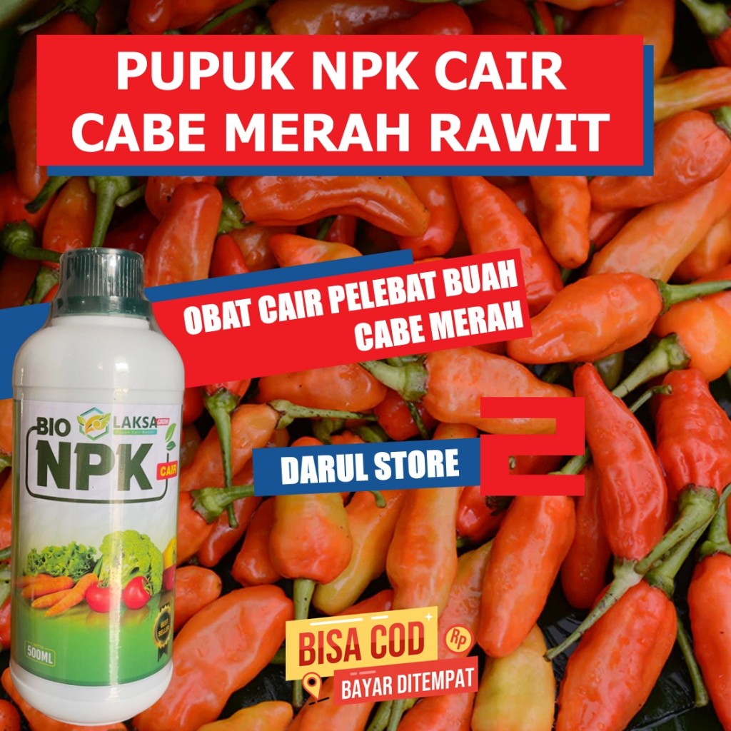 OBAT PERANGSANG TANAMAN CABE TERBAIK NPK LAKSA Mempercepat Tumbuh Bunga dan Buah Cabe Serempak, Pupu