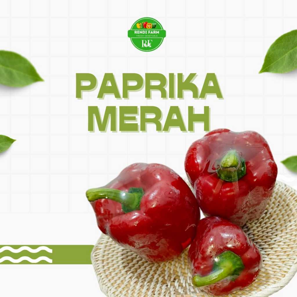 

PAPRIKA MERAH / PAPRIKA FRESH / BUAH PAPRIKA / PAPRIKA