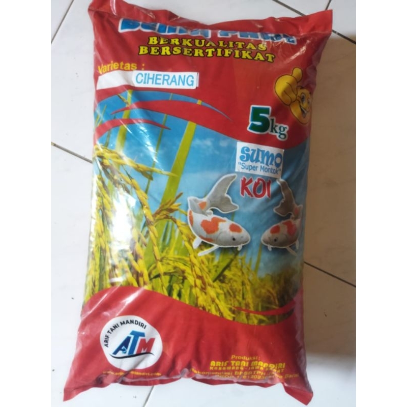 

Ciherang Sumo Cap Koi