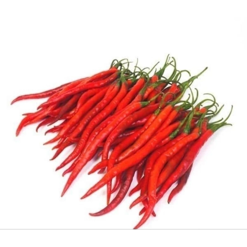 

Cabai Merah Keriting Konvensional 50 gram