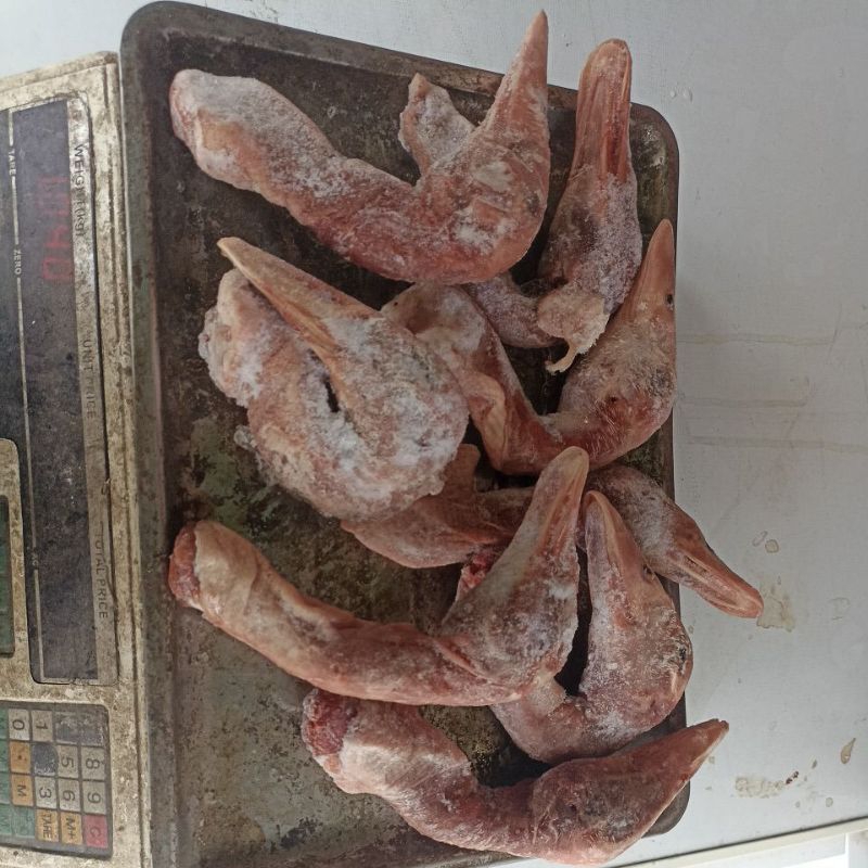 

Kepala bebek