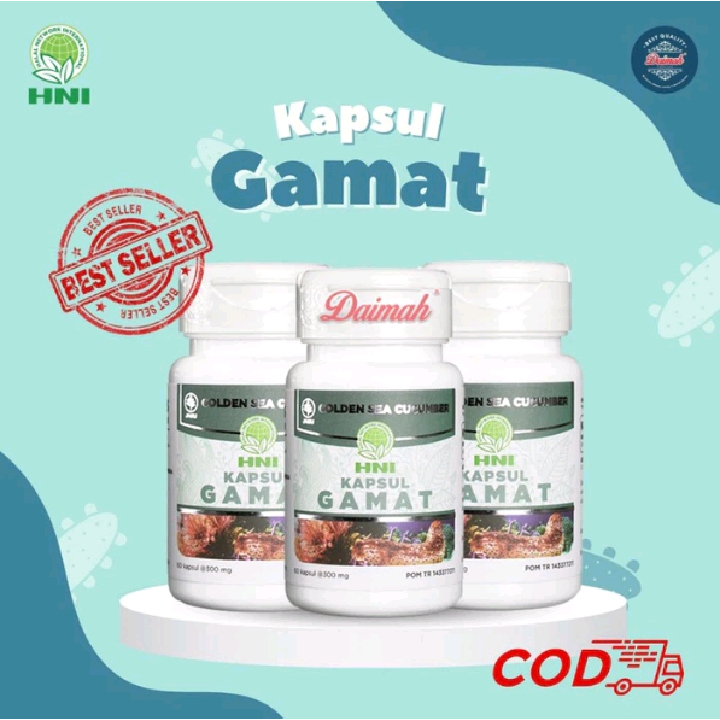 OBAT NYERI SENDI HNI HPAI