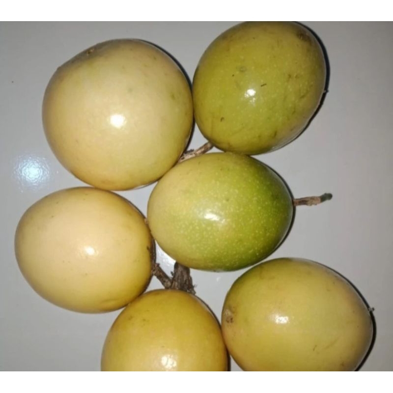 buah markisa 1 kg