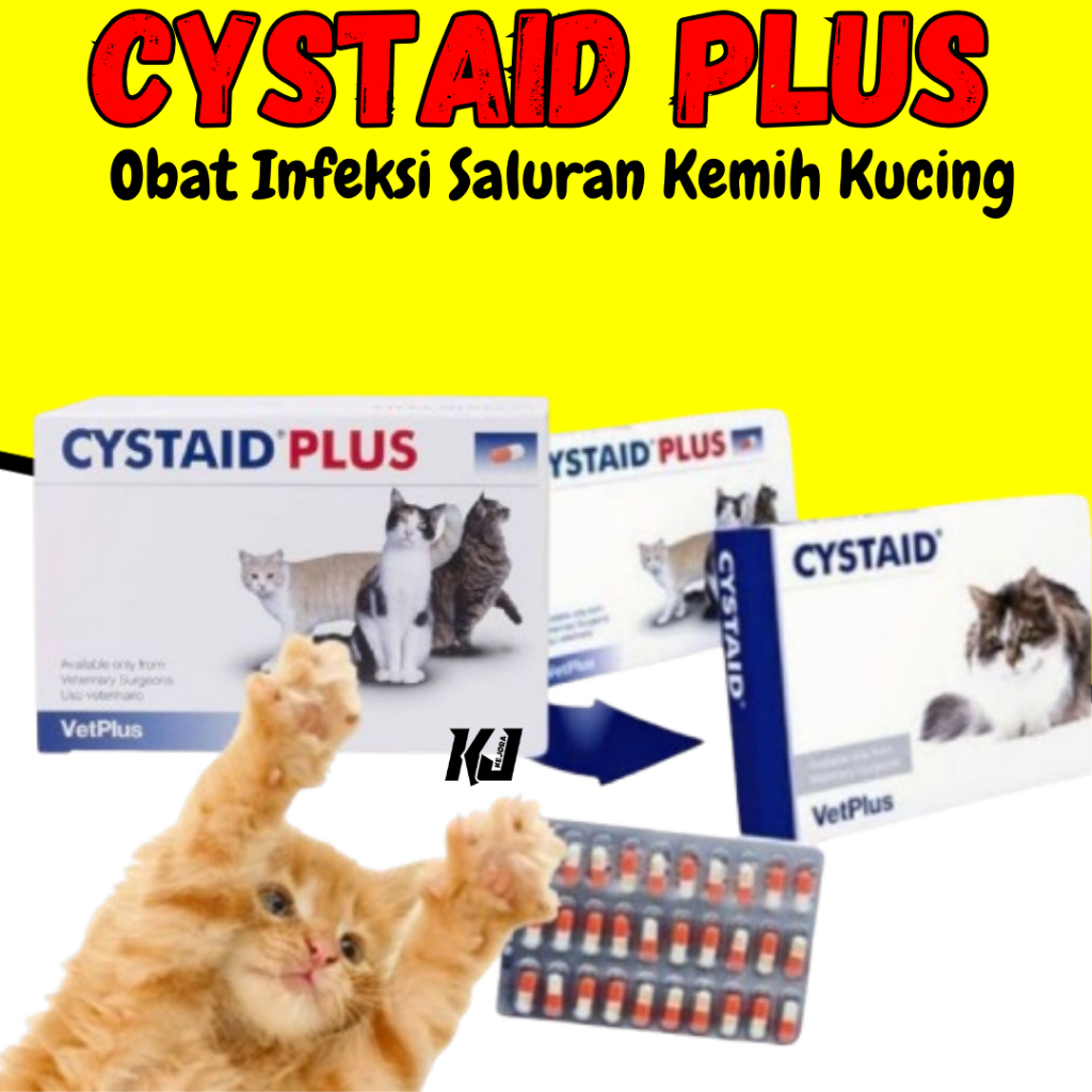 Cystaid Plus Obat Infeksi Saluran Kemih Kucing Obat FLUTD Obat Saluran Pipis Kucing