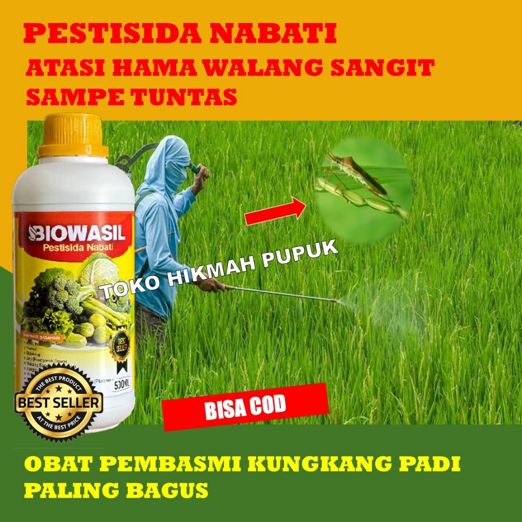 (COD) PESTISIDA BIOWASIL WALANG SANGIT PALING AMPUH - PESTISIDA NABATI WALANG SANGIT PADA PADI - PES