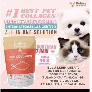 

BOLINS SECRET RECIPE 150GR