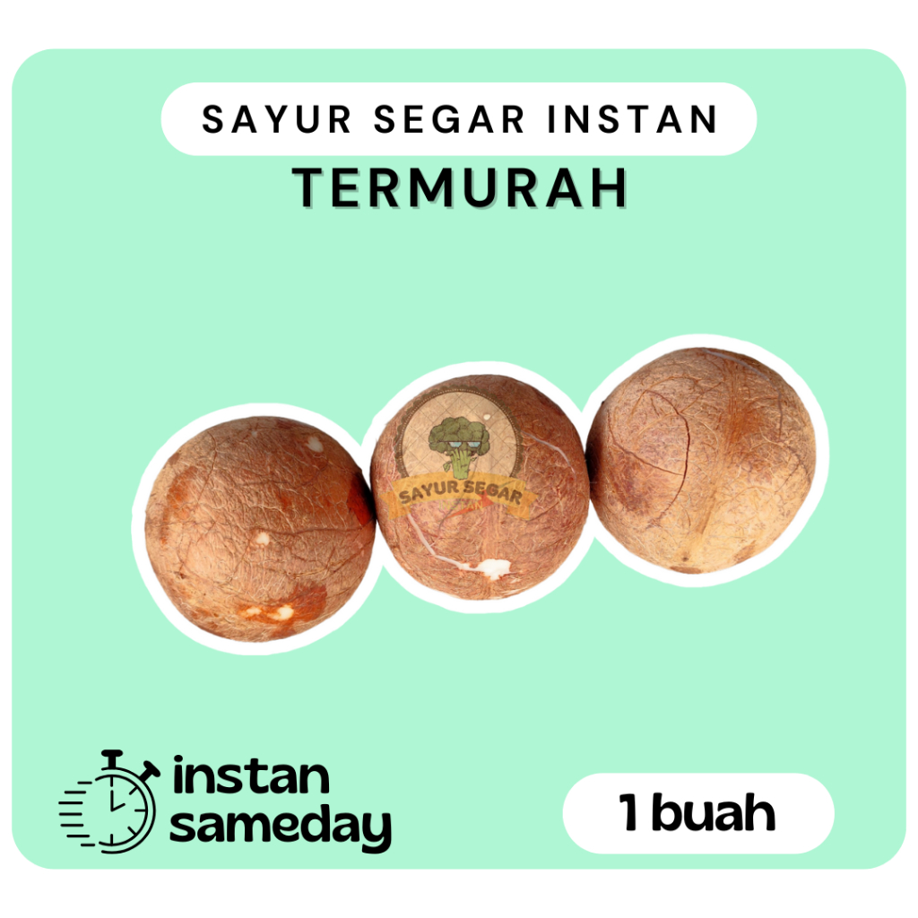 

Kelapa Bulat Kupas Bersih 1buah - Sayur Segar Instan