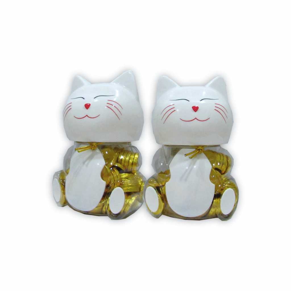 

NARAYA CHOCO COIN CAT