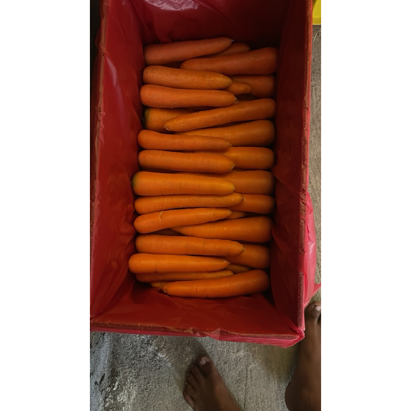 

carrot