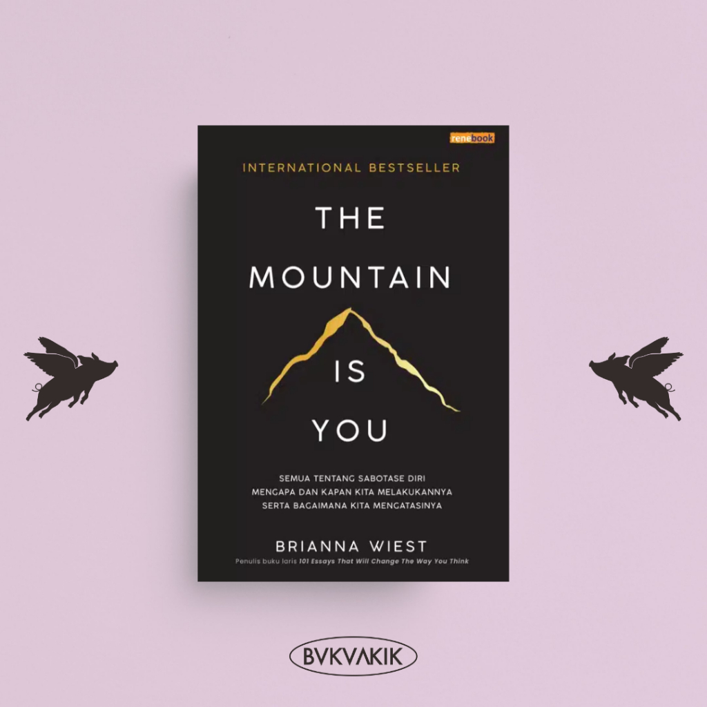 The Mountain Is You - Brianna Wiest