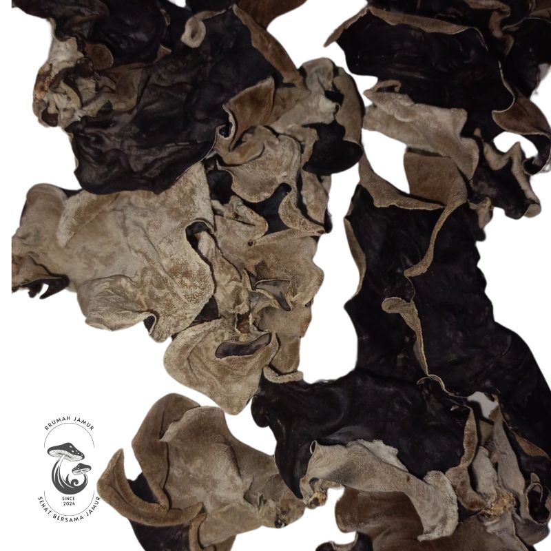 

Jamur Kuping Kering Grade A 100gram / Petani Jamur Asli / Hitam - Putih