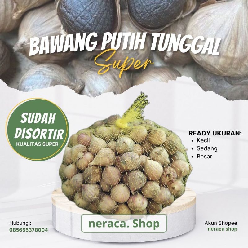 

Bawang putih tunggal kualitas super 1/2 kg