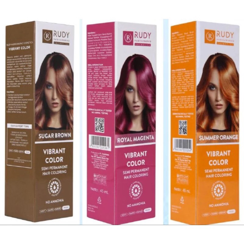 semir rudy hadisuwarno