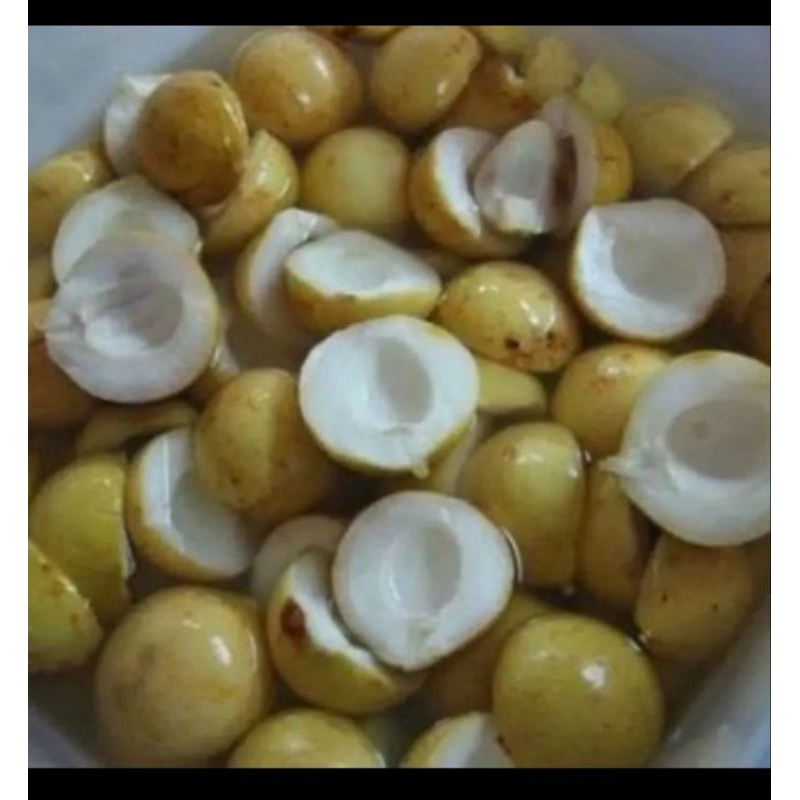 

Daging Buah Pala Segar Freshh per 500gram