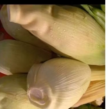 

jagung manis 1buah fresh