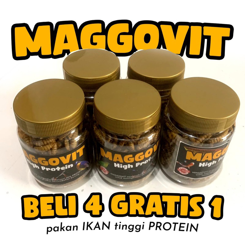 MAGGOVIT PAKAN IKAN MAGGOT KERING PAKET 5 PCS ARWANA CHANA Channa Maru Yellow Sentarum Auranti Limba