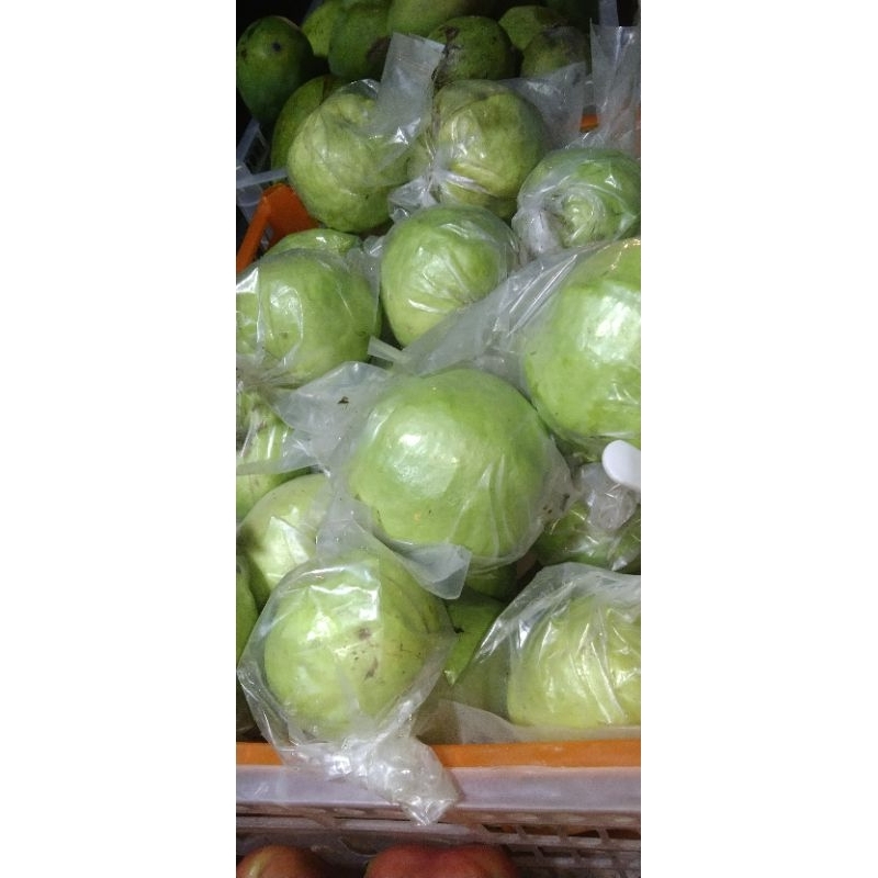 

jambu kristal 1kg