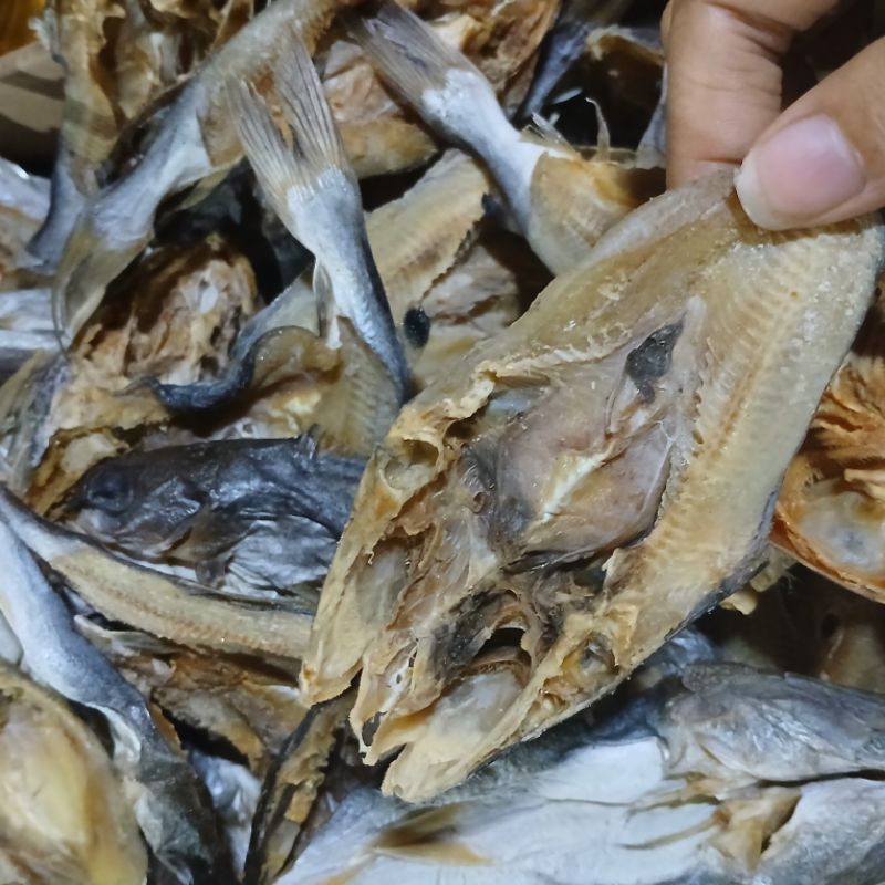 

IKAN ASIN OTEK