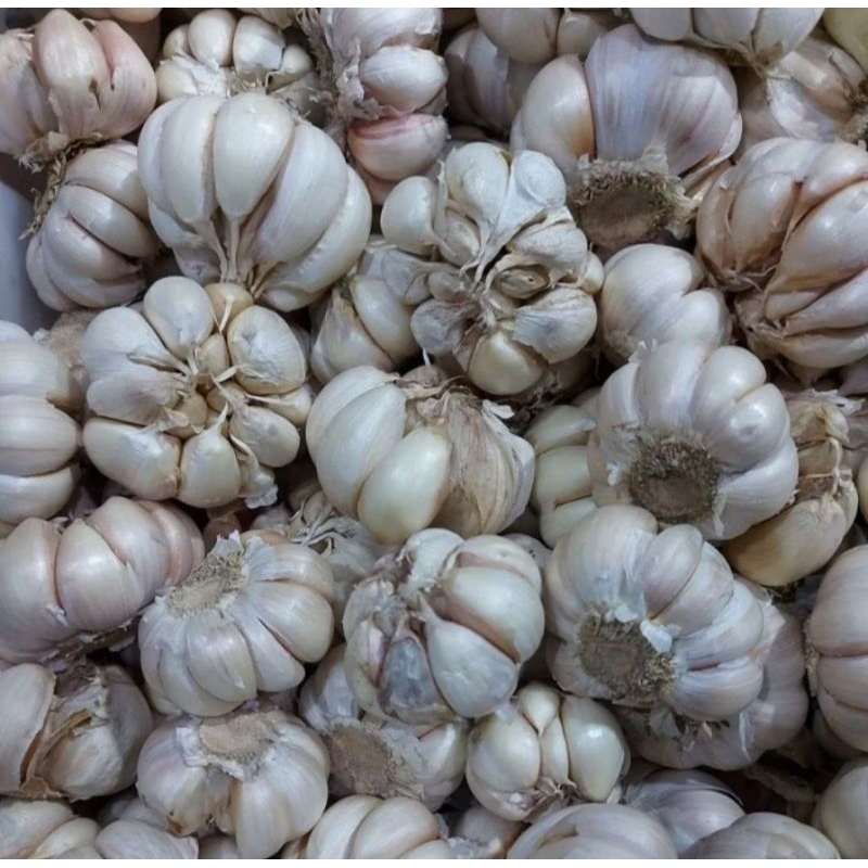 

BAWANG PUTIH SEGAR 250 GRAM